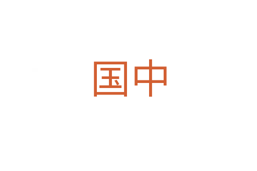 国中