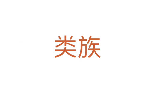 类族