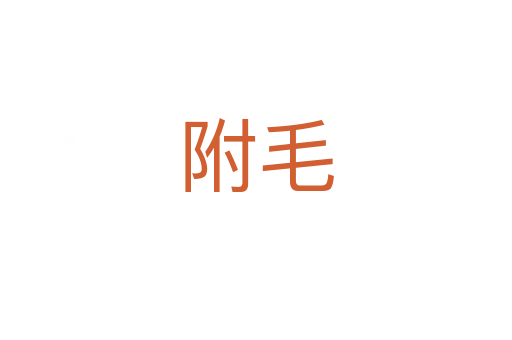 附毛