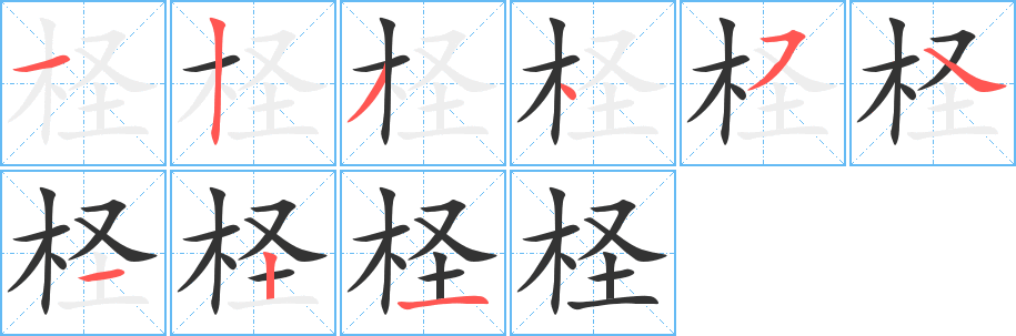 柽的笔顺分步演示