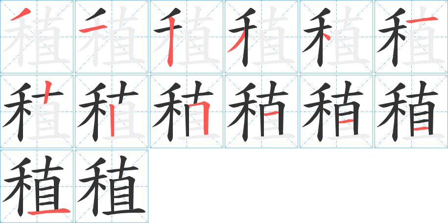 稙的笔顺分步演示